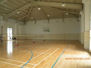 專業運動木地板系統 從生產到施工的全方位解析