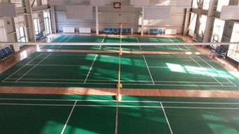 專注品質(zhì)，服務(wù)運動——北京達森運動木地板有限責(zé)任公司